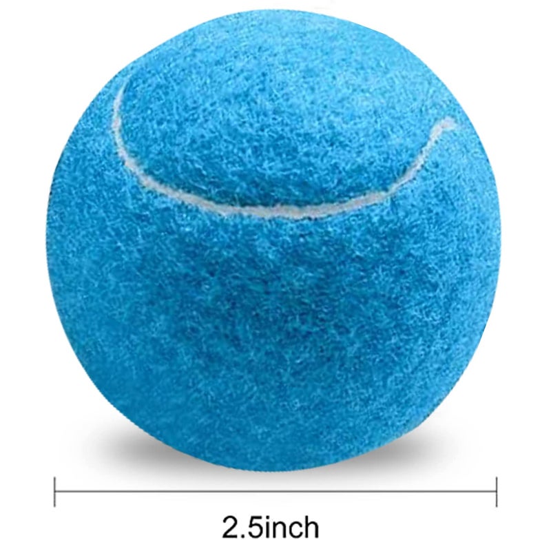 URBEST Tennis Balls, 12 Packs Training Tennis Balls Practice Balls for Novice Player, Pet Dog Playing Balls with Mesh Carry Bag (Blue) - Image 2